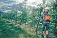 Husqvarna 535IXP Akkumoottorisaha runko - Akkukäyttöiset moottorisahat - 9707173-10 - 3