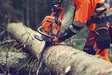 HUSQVARNA 564XPG MOOTTORISAHA 20" X-FORCE 3/8" C85 - Moottorisahat - 9707116-40 - 5