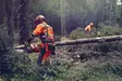 HUSQVARNA 564XPG MOOTTORISAHA 20" X-FORCE 3/8" C85 - Moottorisahat - 9707116-40 - 7