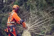 HUSQVARNA 564XPG MOOTTORISAHA 20" X-FORCE 3/8" C85 - Moottorisahat - 9707116-40 - 6