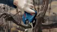 Bosch GGP 12V-25 Akkuoksasakset runko - Kirveet ja puutarhatyökalut - 06008D8101 - 5