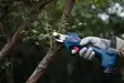 Bosch GGP 12V-25 Akkuoksasakset runko - Kirveet ja puutarhatyökalut - 06008D8101 - 2