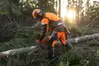 Husqvarna työkaluvyösarja - Metsurin suojakypärät ja varusteet - 5403313-01 - 4