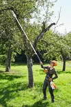 HTA 135 AKKUOKSASAHA 1/4"P 30 CM PM3 - Stihl akkutyökalut - LA012000002 - 7