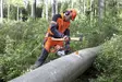 Husqvarna Kaatokiila 8" / 20CM - Kirveet ja puutarhatyökalut - 5980358-02 - 3
