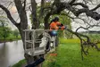 Husqvarna 540XP MARK III Moottorisaha - Moottorisahat - 9705181-12 - 2