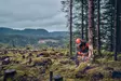 Husqvarna 540XP MARK III Moottorisaha - Moottorisahat - 9705181-12 - 4