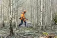 Husqvarna 545FXT AutoTune™ Raivaussaha - Metsänraivaussahat - 9671766-03 - 7