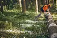Stihl MSA 300.1 C-O Akkumoottorisaha 14" - Stihl akkutyökalut - MA022000083 - 4