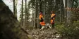 Stihl Vyötäröhousut DYNAMIC DUROTEC SZ - Metsurin turva-asut - 00883423203 - 4