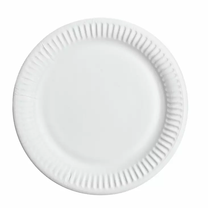 KERTAKÄYTTÖ LAUTANEN 23CM 50KPL - Kertakäyttöastiat ja retkiastiat - KER003 - 1