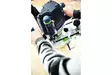 FESTOOL YLÄJYRSIN OF 2200 EB-PLUS - Jyrsimet - 576215 - 6