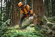 STIHL MS 300.0 C-M VW MOOTTORISAHA - Stihl moottorisahat - MB022000007 - 7