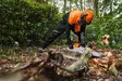 Stihl Function Core takki ja housut - Metsurin turva-asut - STIHLFUNCTIONXS - 5